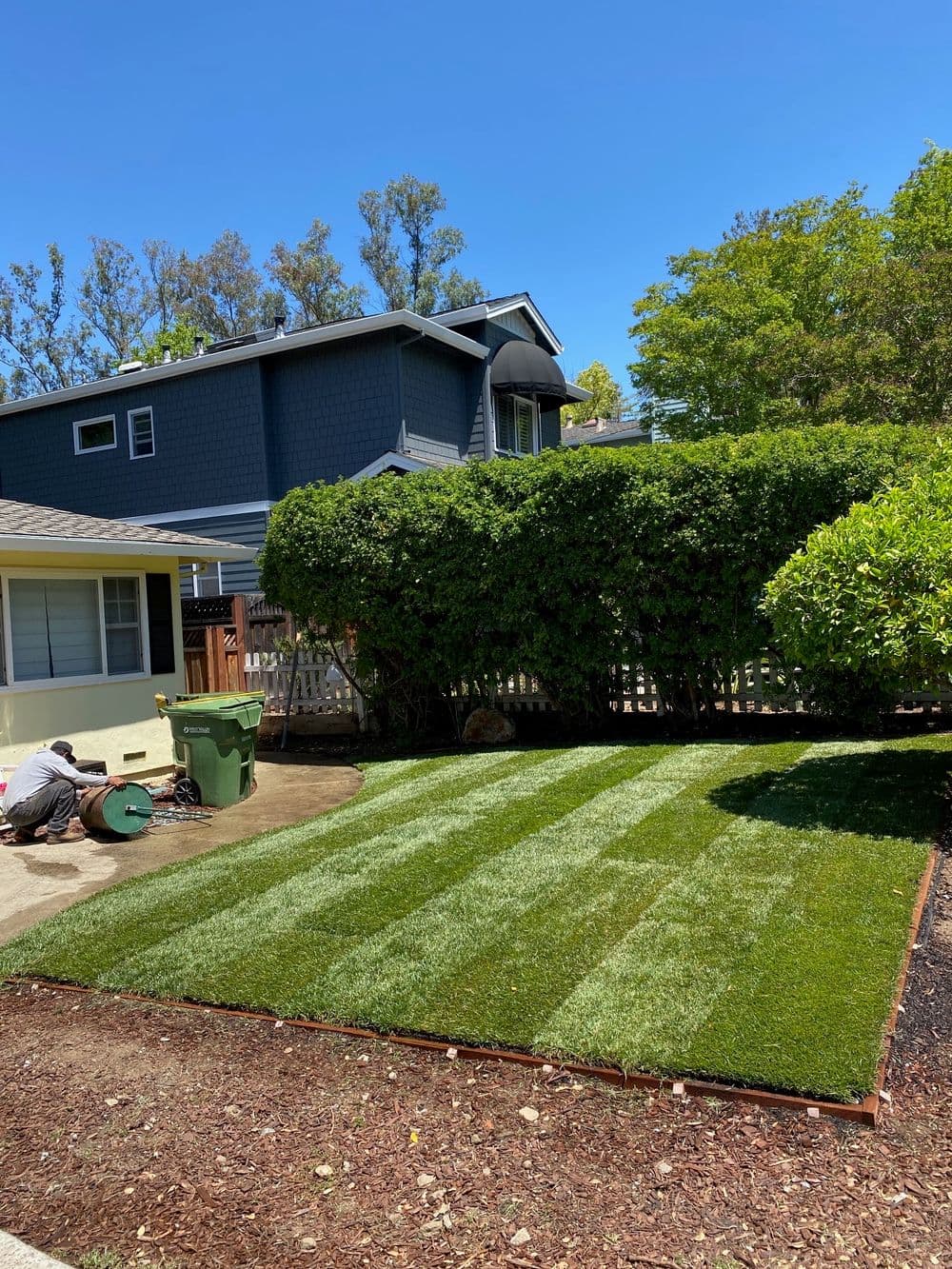Freshly laid green sod in a residential yard with a house and greenery in the background.