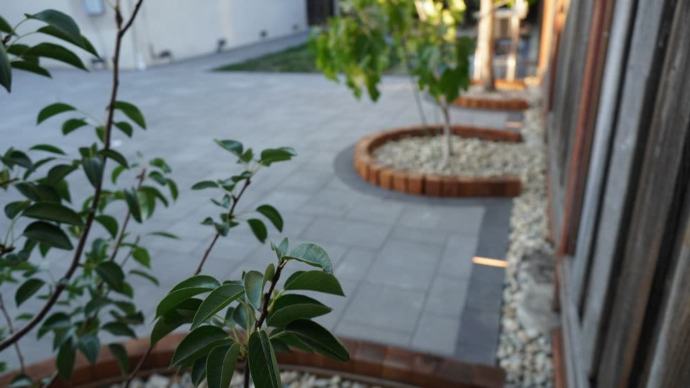 Lush greenery and brick-lined path complement a modern outdoor patio in a tranquil garden setting.