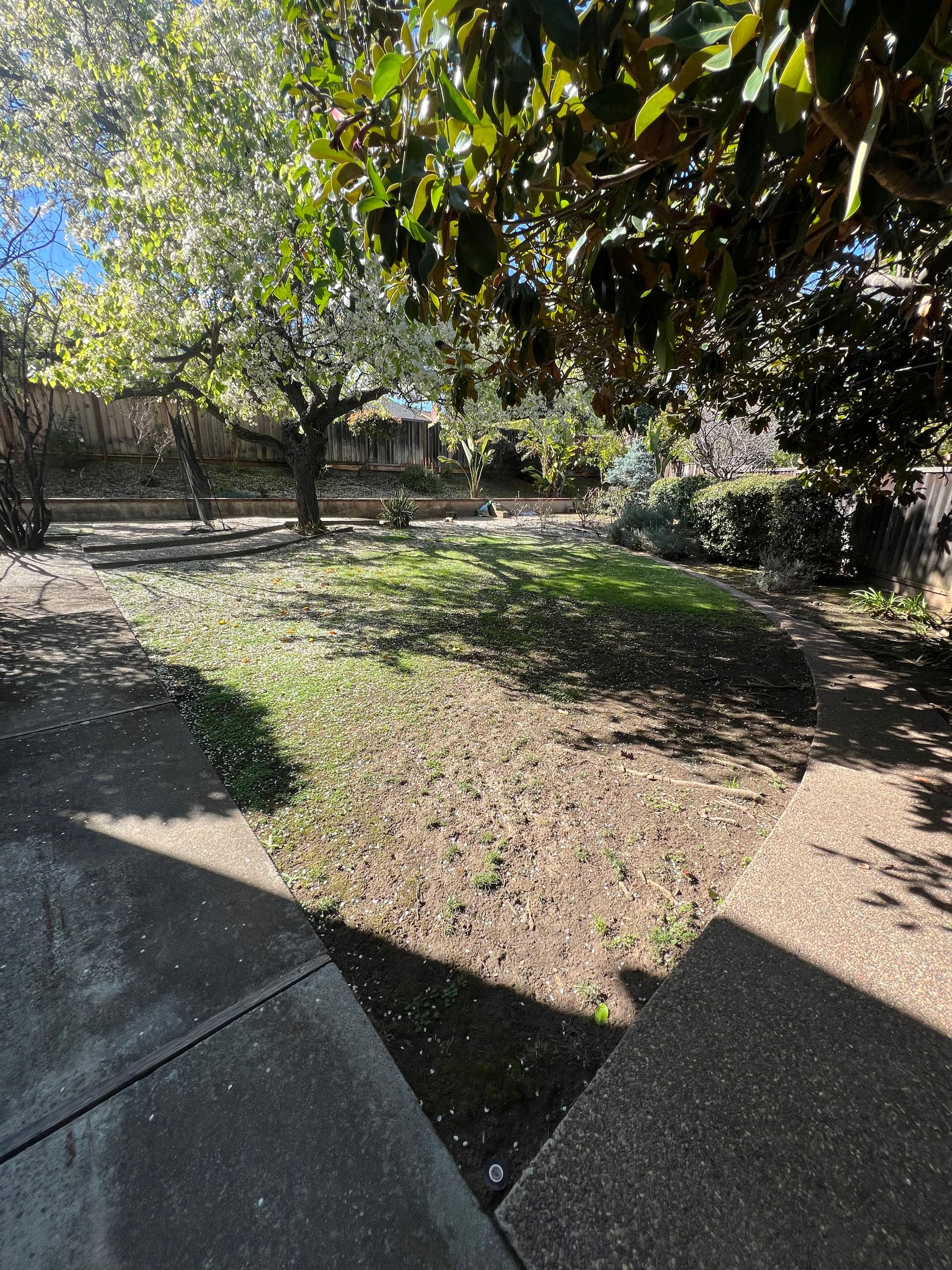 Gallery photos for Dry Backyard Transformed with Artificial Turf: Image #1